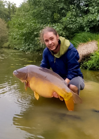 Carp fish Brittany France